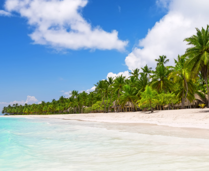 Punta Cana to Santo Domingo transfer icon